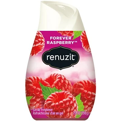 Discount ๐ Renuzit Adjustable Cone Solid Air Freshener, Raspberry (DIA03667) โญ