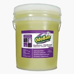 Best reviews of 👍 Deodorizers OdoBan Professional Series Deodorizer Disinfectant, Lavender Scent, 5gal Pail 🛒